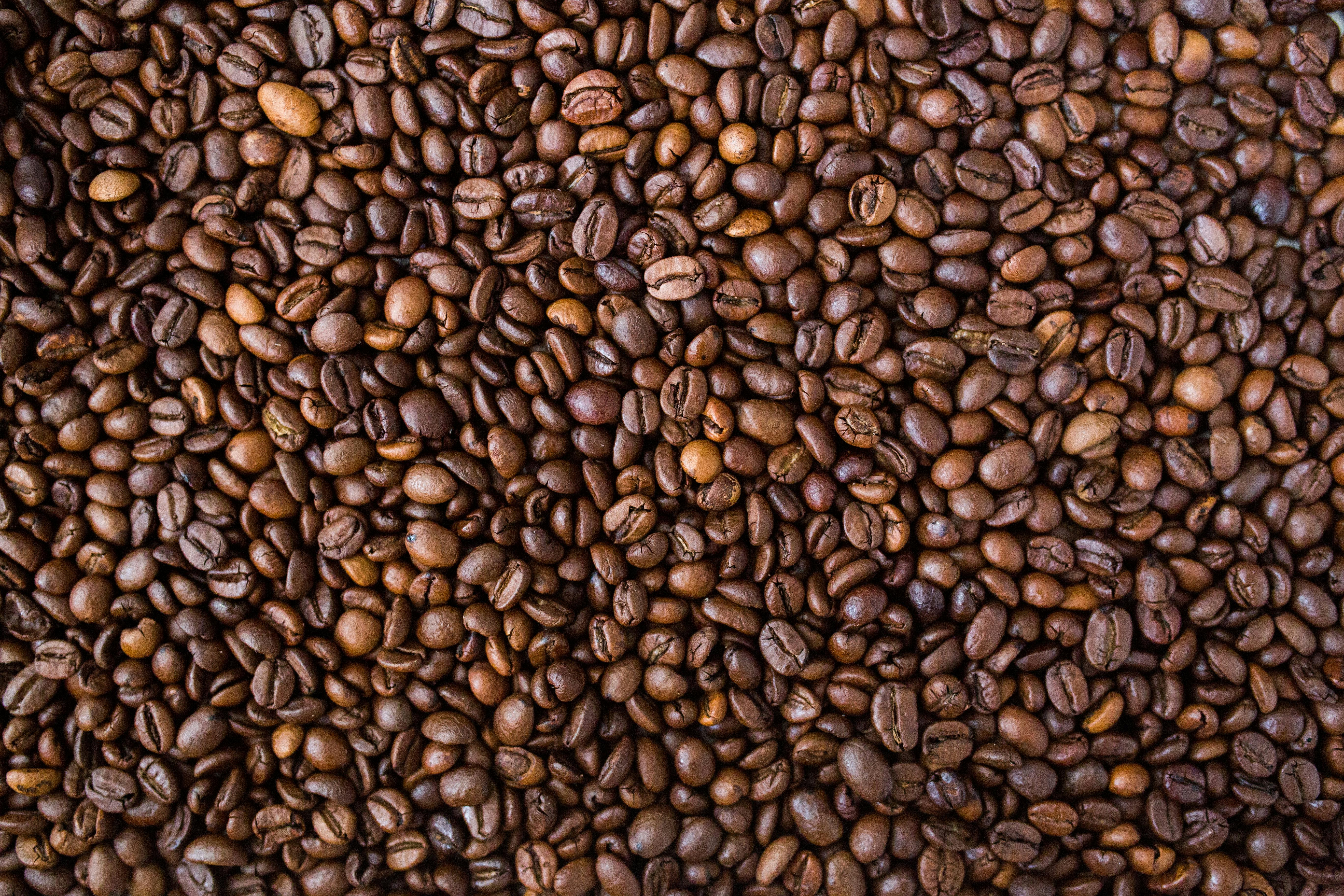 the picture of coffee bean